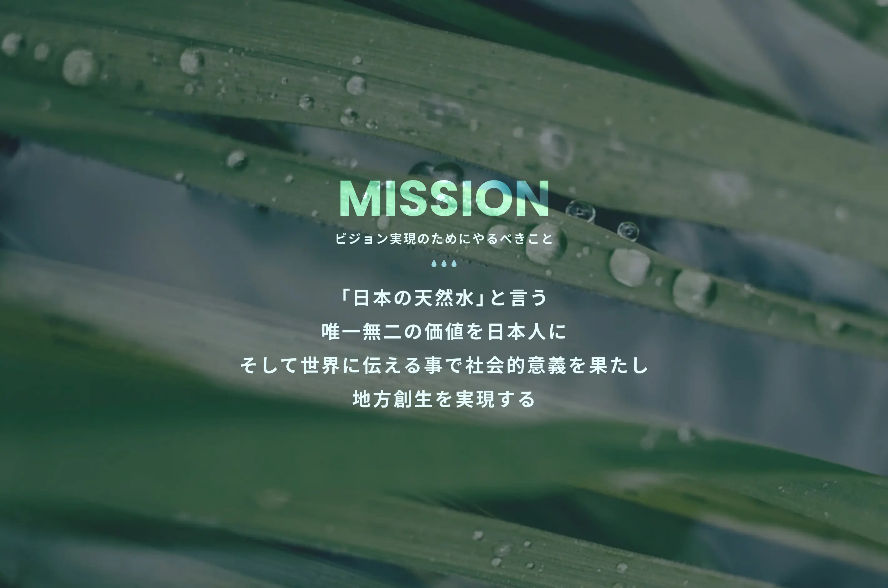 MISSION(ビジョン実現のためにやるべきこと) 「日本の天然水」と言う唯一無二の価値を日本人にそして世界に伝える事で社会的意義を果たし地方創生を実現する